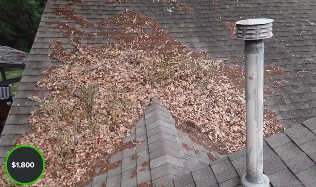 House-inspector-Union-KY Roof-damage-during-house-inspection