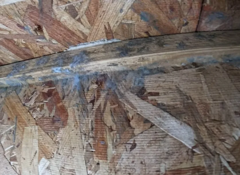 Mold-inspector-in-Northern-KY