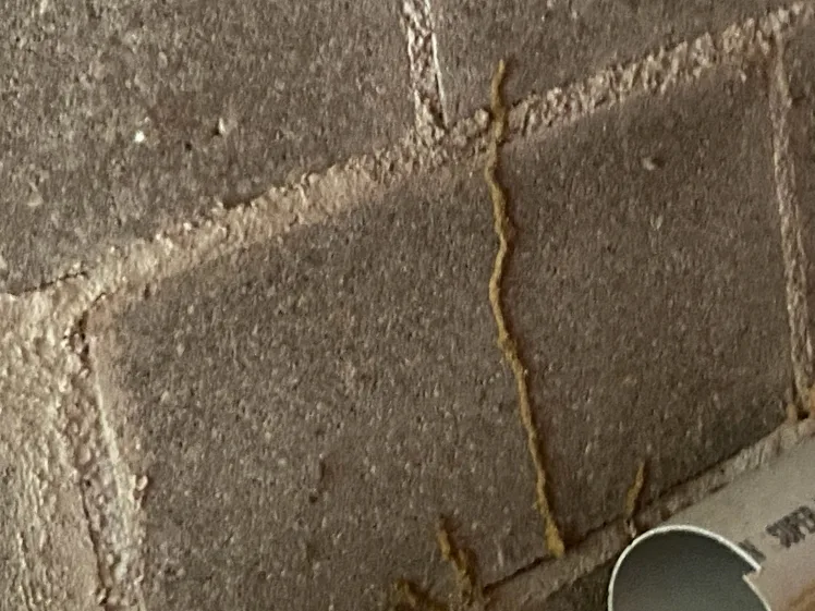 Termite tunnel found during termite inspection in northern KY